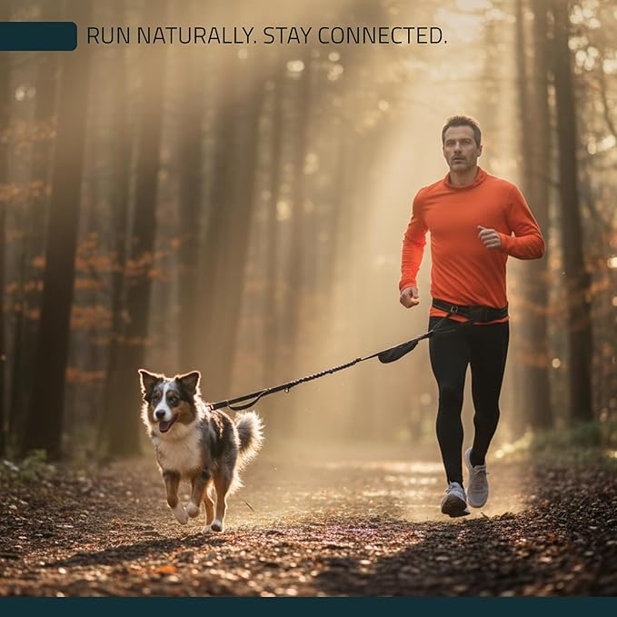 FITLY Dog Running Waist Belt - Dual-Point Force Distribution System - Hands-On-Hips Canicross Harness for Running, Walks, Hikes - Convertible Design with Storage Pouch & Bungee Damper - Nifty Black