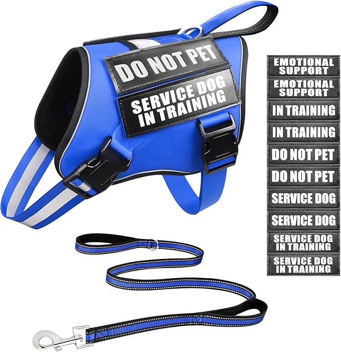 Service Dog Vest Harness and Leash Set+10 Patches,No Pull&Easy Walk Reflective Dog Harness with Soft Padded Handle for Training/Everyday,Fit Small/Medium/Large/Extra-Large Dogs (Blue L)