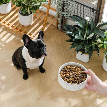 MALACASA Ceramic Dog Food Bowl, 1.5 Cups or 14oz Dog Food Water Dish for Small Breeds, Cats Pet Bowl Dishwasher & Microwave Safe, Honeycomb, Series Lydia