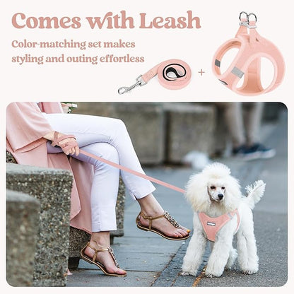 rabbitgoo Dog Harness Small Sized and Leash Set, Step in Soft Light Puppy Vest, Breathable Mesh Pet Harness, Reflective for Outdoor Safe Walking, Pink XXL
