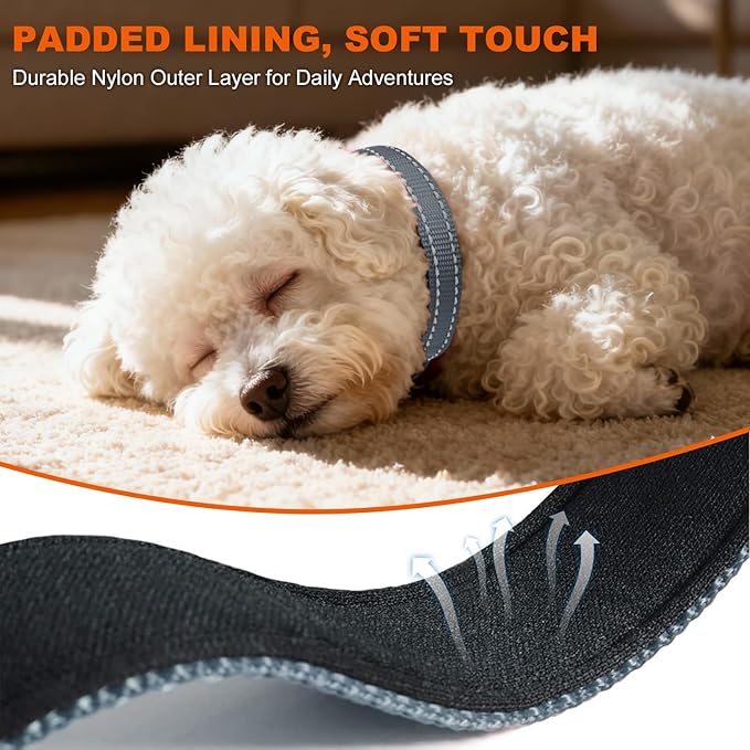 Taglory Reflective Dog Collar with Safety Locking Buckle, Soft Neoprene Padded Dog Collar for Puppy Dogs, Metal D-Ring, Adjustable Nylon Neck Strap for Daily Walking, Training & Running, Grey, XS