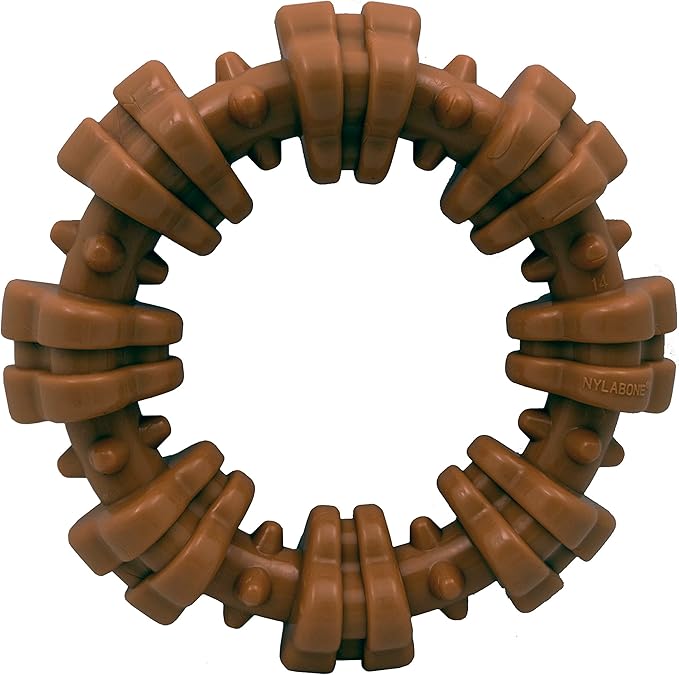 Nylabone Textured Ring Power Chew Toy for Small Dogs, Tough Dog Toys Durable Design for Aggressive Chewers, Best Dog Boredom Toys, Flavor Medley, Small - Up to 25 lbs (1 Count)