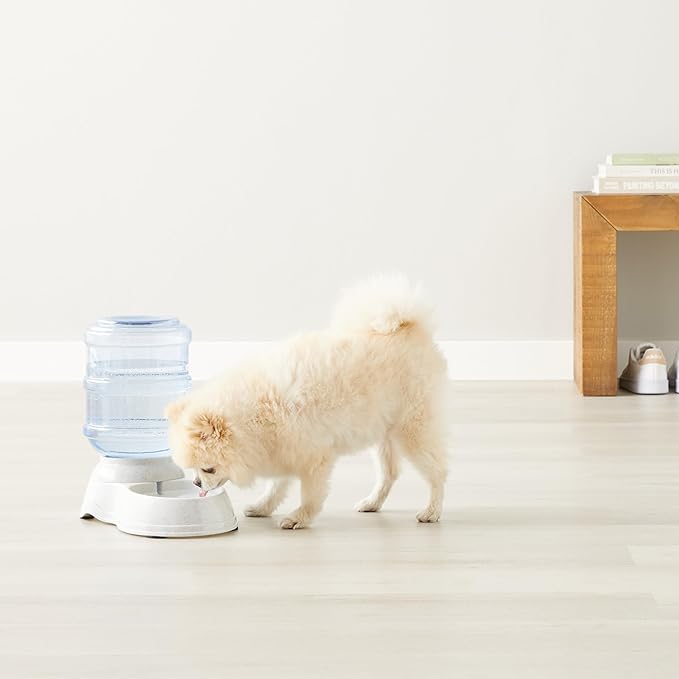 Amazon Basics Gravity Pet Water Dispenser for Cat and Dog, Easy to Clean, 1 Gallon Capacity, Small, Gray