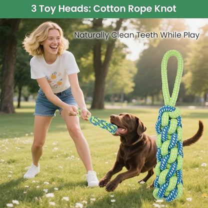 Bungee Dog Toy for Puppy Small Medium Dogs, Indoor Spring Pole Hang Over Door Frame, Outdoor Tether Rope for Yard Tree, Interactive Tug of War Pull Toy for Self Play Training Exercise