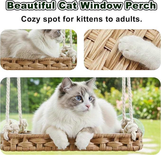 Cat Window Perch with 4 Strong Suction Cups,PE Rattan Basket Hammock with Soft Washable Plush Cushion,Cozy Hammock Perches for Large Indoor Cats Kittens Sunbathing Bird Watching