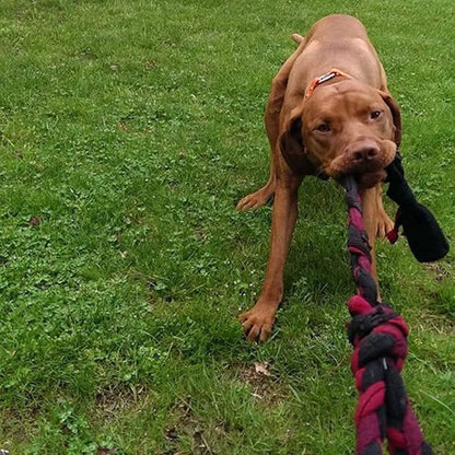 KNOTS OF FUN Dog Toy Tug, 1 EA