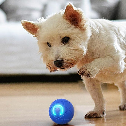 Interactive Dog Toys, Self-Moving Ball, 2026 New Dog Ball Automatic Toy for Small-Medium/Large Dogs, Funny Dogchew Toys, Electric Bouncing Vibrating Dogs Balls,USB Rechargeable