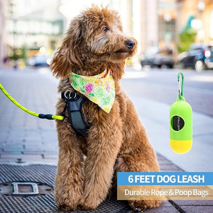 BAAPET 2/4/5/6 FT Dog Leash with Comfortable Padded Handle and Highly Reflective Threads for Small Medium and Large Dogs (6FT-1/2'', Green)