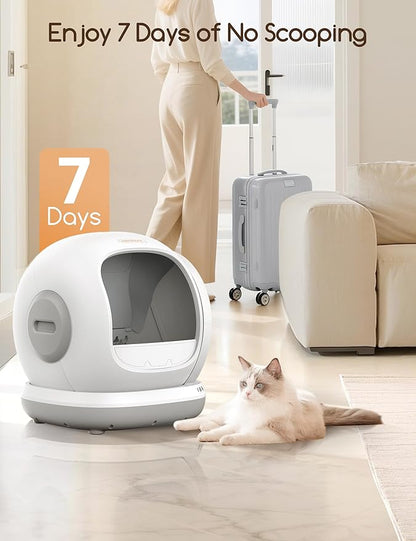 Meowant Self Cleaning Cat Litter Box - Open-Top Automatic Litter Box with APP, 0 Risk of Stuck Cats, Safer Automatic Litter Boxs, Low Entrance for Multiple Cats