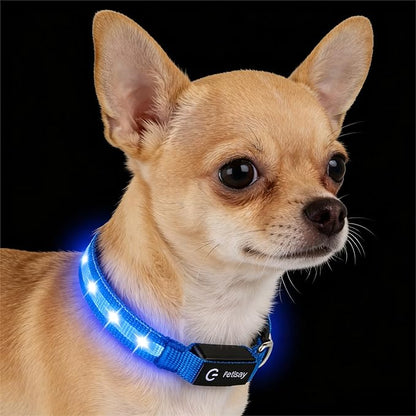 LED Dog Collar for Small Dogs & Toy Breeds – USB-C Rechargeable Light Up Dog Collar, Fully Waterproof Adjustable Glow Collar for Night Walking & Safety(Blue,S)