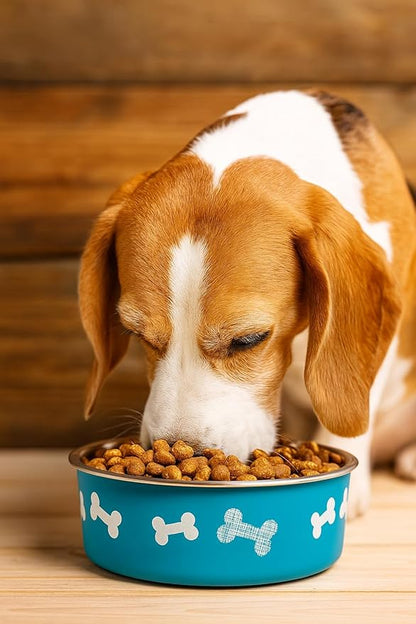 Printed Teal Blue Stainless Steel Dog Bowl with Anti-Skid Base, 15.89 oz | Food & Water Bowl for Small Dogs, Puppies & Cats, Durable Metal Pet Bowl