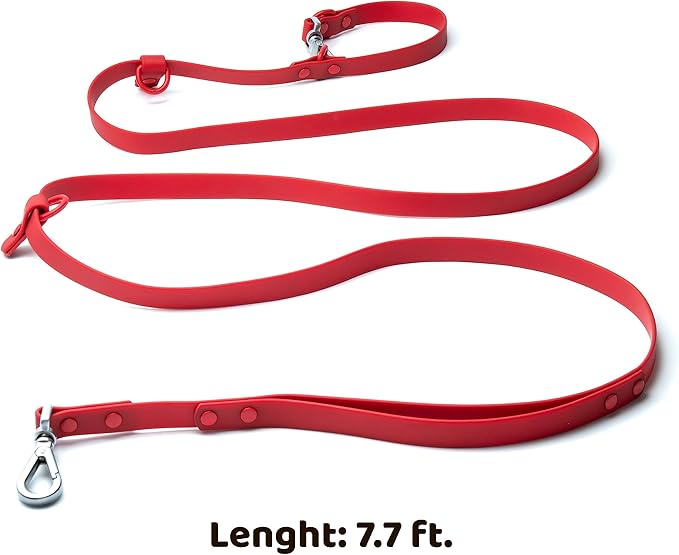 Heavy Duty Hands Free Dog Leash for Medium to Large Dogs for Comfortable Running, Jogging Walking | Dual D-Rings | Soft Padded Traffic Handle | Both Ends 360 Rotating Carabiners (Leash Length 7.7 ft)