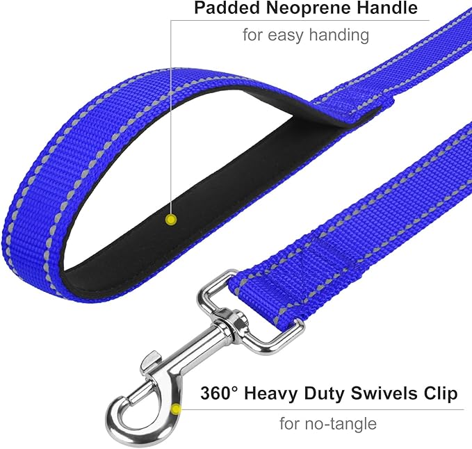 Reflective Dog Leash 6ft Soft Padded Handle Nylon Lead for Medium & Large Dogs, Durable Walking Training Leash for Night Safety (Royal Blue,1Inch Wide)