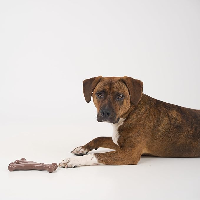 SPOT Bam-Bones Wishbone - Made with Strong Bamboo Fiber, Durable Long Lasting Dog Chew for Light to Moderate Chewers, Great Toy for Adult Dogs & Teething Puppies Under 50lbs, 7in, Bacon Flavor