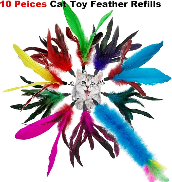 Cat Feather Toys Refills, 10 Pieces Cat Wand Replacement Feathers Toy for Indoor Cats