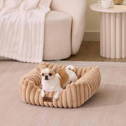 Small Dog Beds for Small Dogs - Washable Cat Beds for Indoor Cats, Rectangle Orthopedic Puppy Bed with Fluffy Removable Cover, 20x19x7inches, Cream