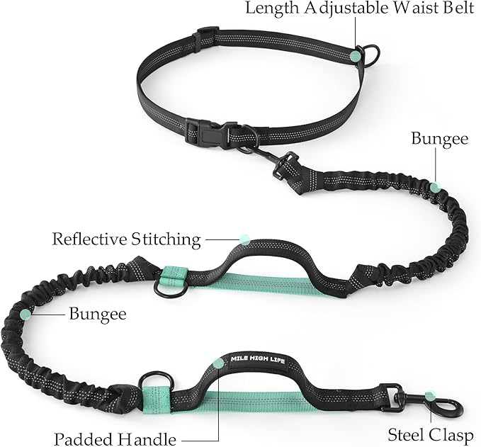 Mile High Life Hands Free Waist Leash for Dog Running Training and Jogging, Adjustable Belt with Double Handle, Reflective Bungee for Medium Large Dogs (Black Teal, 7FT)