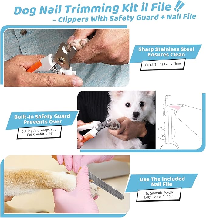 Pet Steam Brush for Dog & Cat – 3-in-1 Spray Hair Removal Comb for Shedding & Grooming, Softens Fur & Reduces Static – Water Brush for Long & Short Coats, Bath-Hating Pets, Includes Waterless Shampoo