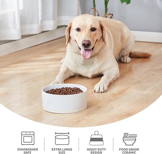 Oslo Ceramic Dog Bowl - 6'' Dog Food Water Bowl for Medium and Large Dogs, Heavy Duty Non-Slip Dog Dish, Modern Scandi-Style Stoneware Pet Feeder Bowl, Dishwasher Safe (30Oz, White)