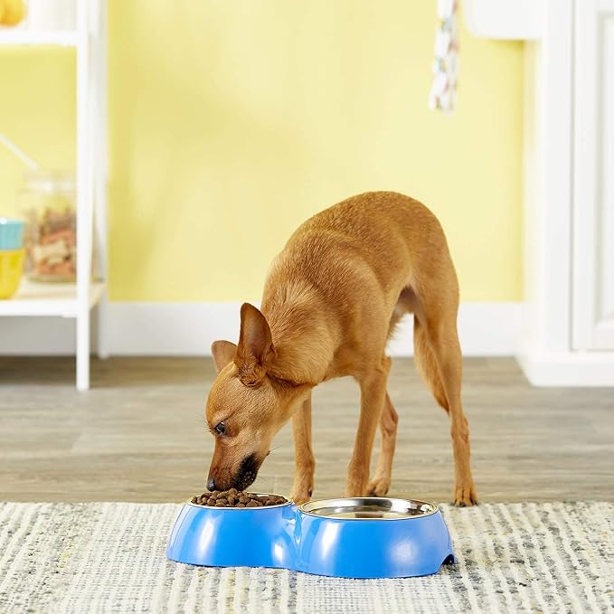 Dogit Double Diner, Blue