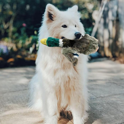 ALL FOR PAWS Duck Squeaky Doy Toy, Duck Dog Toy for Small Medium Breed, Puppy Fetch Toy with Squeaker, Plush Chew Dog Toy, 7.9 x 7.5 x 2 inches, Classic - Mallard S
