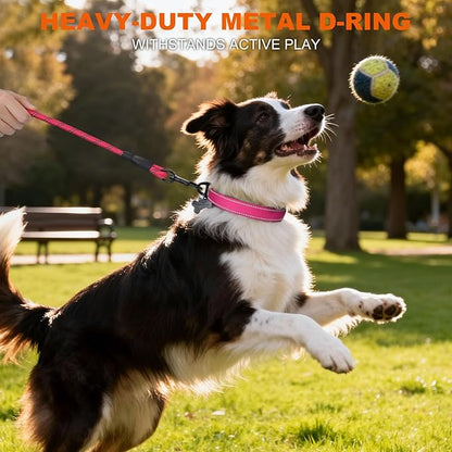Taglory Reflective Dog Collar with Safety Locking Buckle, Soft Neoprene Padded Dog Collar for Medium Dogs, Metal D-Ring, Adjustable Nylon Neck Strap for Daily Walking, Training & Running, Hot Pink, M