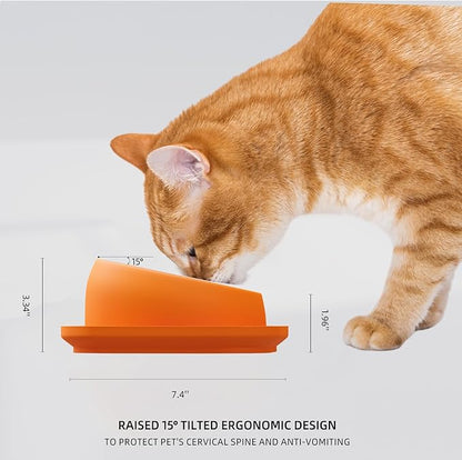 Elevated Cat Food Bowl, Tilted Feeding Stand, Whisker Friendly, Slanted Flat Plastic Feeder, Orange