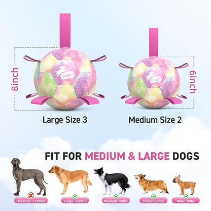 QDAN Dog Balls, Dog Soccer Ball with Straps, Pink Girl Puppy Toy Balls for Small Medium Dogs, Outdoor Water Pool Toys, Puppy Pet Birthday Gifts, Rainbow（6 Inch）