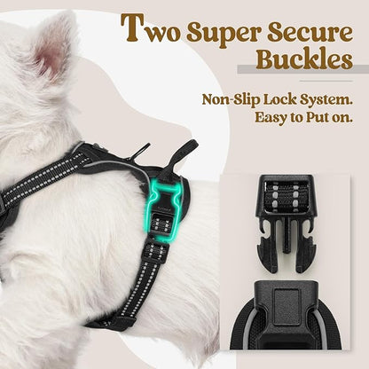 rabbitgoo Dog Harness No Pull with 2 Leash Clips, Adjustable Soft Padded, Reflective Oxford No Choke Pet Vest with Easy Control Handle for Puppy, Black, XS