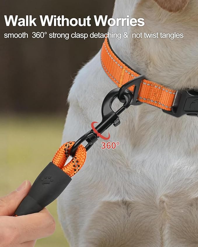 Joytale Dog Leash for Small Dogs, Heavy Duty Nylon Leashes with Comfortable Padded Handle and Highly Reflective Threads, Ideal for Walking and Training, Orange, 6'×3/8''