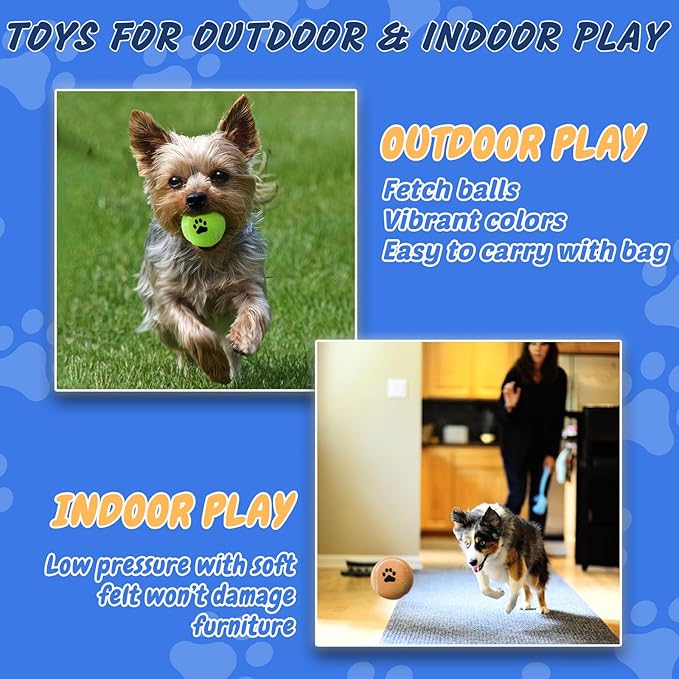 Bulk Tennis Balls for Dogs Pack of 12 Easy Catching Dog Fetch Balls (Non Squeaky-Multicolor)