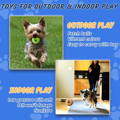 Bulk Tennis Balls for Dogs Pack of 12 Easy Catching Dog Fetch Balls (Non Squeaky-Multicolor)