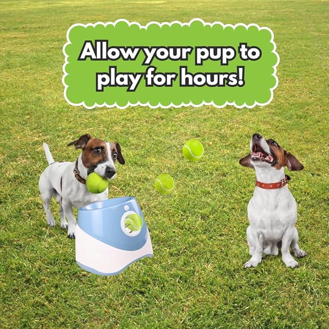 Automatic Ball Launcher for Small, Medium Dog/Puppy with 6 Small Tennis Balls