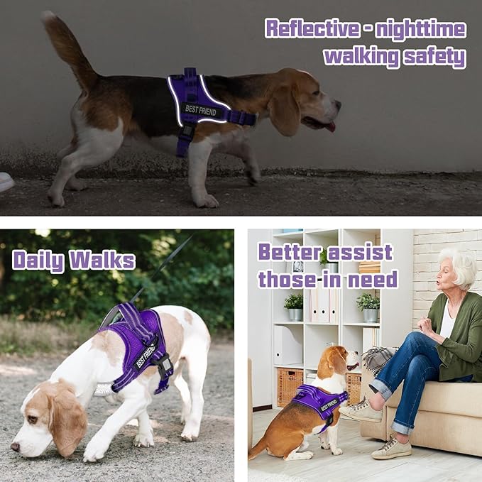 AUROTH Dog Harness and Leash Set, Soft Padded Service Dog Vest with 5.25FT Dog Leash, No Choke, Easy On Pet Vest, Adjustable Reflective No Pull Dog Harness for Large Dogs, Easy Walking and Training
