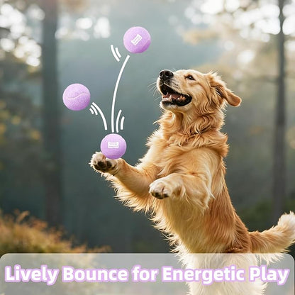 2.5" Dog Tennis Balls 6-Pack Silent Bounce, Tough Rubber Core, Durable Fetch & Training Toys for Indoor/Outdoor Play, for Small Medium Large Dogs (Light Purple, 6 Pack)