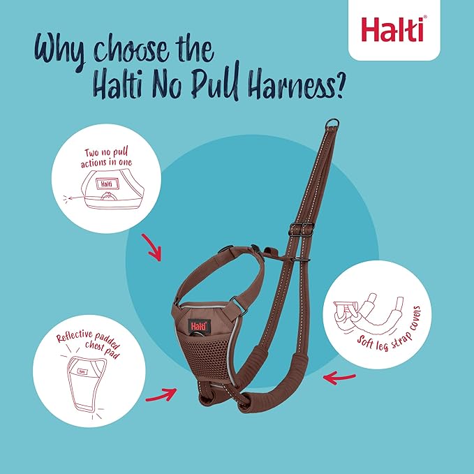 Halti No Pull Harness - Stop Your Dog Pulling on The Leash. Adjustable, Lightweight and Easy to Use. Reflective Dog Training Harness for Toy and Small Dogs (Size XS, Deep Walnut)