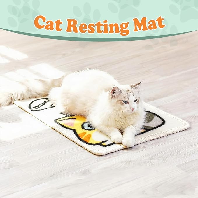Cat Scratch Mat - 19.69 x 13.78 Inches High-Density Loop Pile Cat Scratcher Pad, Furniture Anti-Scratch Protector, Indoor Cat Scratch Pad for Cat Claw Grinding
