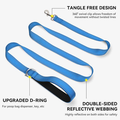 Joytale Dog Leash, 4 FT Double-Sided Reflective, Padded Handle Nylon Heavy Duty Leashes for Small Dogs Walking, SkyBlue