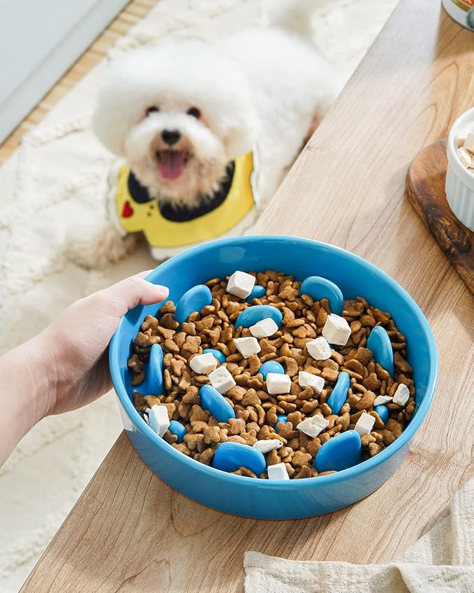 LE TAUCI Dog Bowl Slow Feeder Ceramic, 1.5 Cups Slow Feeding Dog Bowl Small Medium Breed, Puppy Slow Feeder Bow for Fast Eaters, Dog Dishes to Slow Down Eating, Puzzle Dog Food Bowl
