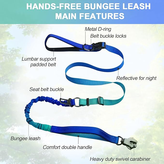 Heavy Duty Hands Free Dog Leash with Quick Release Carabiner and Adjustable No Pull Bungee Dog Running Waist Leash，for Walking and Training with Car Seat Belt 4-6FT (Aquamarine)