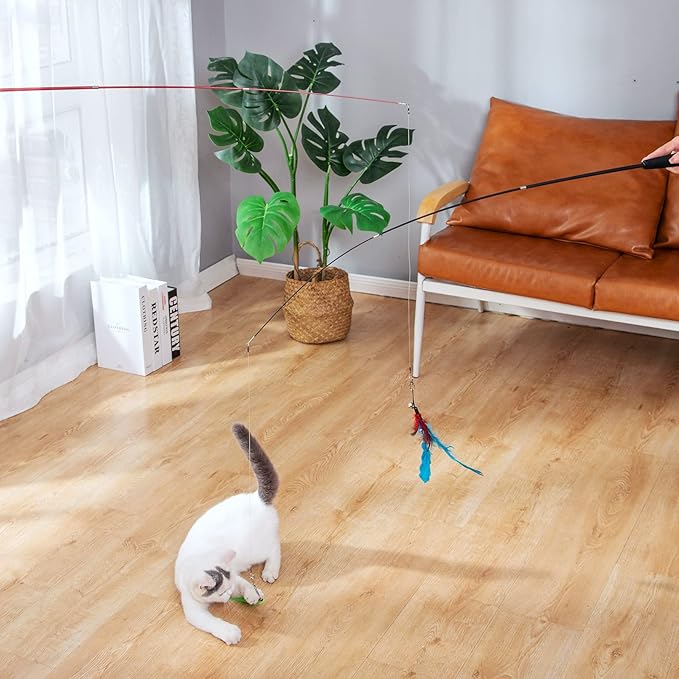 FYNIGO Interactive Cat Kitten Wand Toy Set,2 Retractable Fishing Pole+1 Rainbow Teaser Wand+9 Refills +2 Spare Hook,Funny Cat Feather Toys for Indoor Cats and Kittens to Chase Exercise(14 Pack)