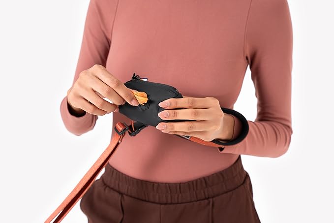 OllyDog Scoop Pick Up | Dog Poop Bag Holder | Lightweight & Water-Resistant Dispenser | Leash Attachment for Hands-Free Carry | Fits Standard Waste Bag Rolls (Raven)