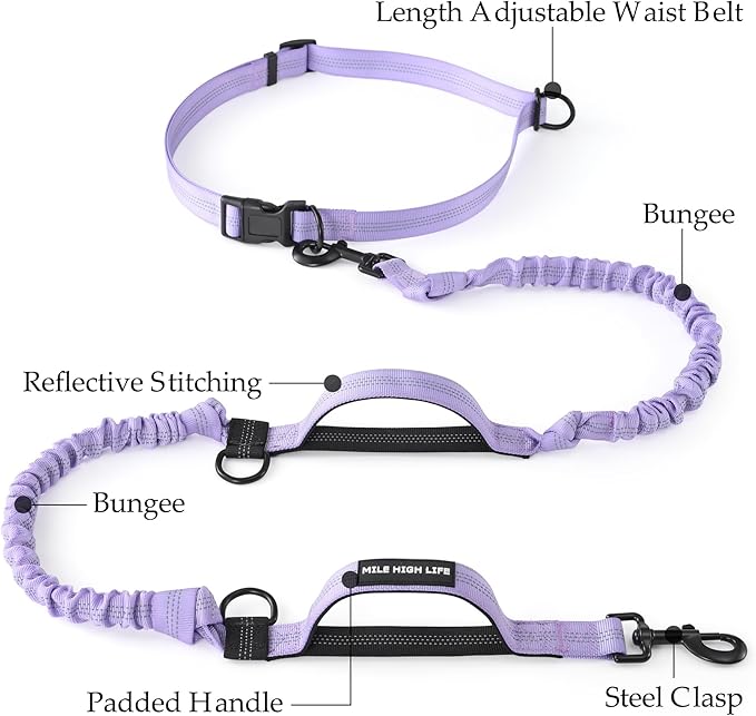 Mile High Life Hands Free Waist Leash for Dog Running Training and Jogging, Adjustable Belt with Double Handle, Reflective Bungee for Medium Large Dogs (Light Purple, 7FT)