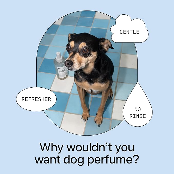 DedCool Pet Fragrance | 01 Taunt | Clean Luxury Pet Perfume for Dogs & Cats | Long-Lasting Deodorizing Spray | Non-Toxic, Vegan | 8.5 fl oz