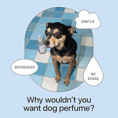 DedCool Pet Fragrance | 01 Taunt | Clean Luxury Pet Perfume for Dogs & Cats | Long-Lasting Deodorizing Spray | Non-Toxic, Vegan | 8.5 fl oz