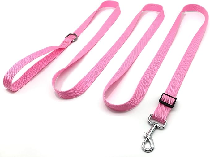 TAIAN Adjustable Nylon Dog Leash, 10 Foot Long Dog Leashes for Medium Large Dogs
