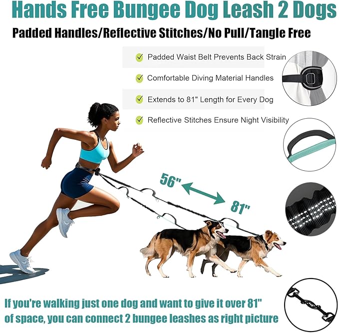 Hands Free Dog Leash Waist & Crossbody for Walking, No Pull Heavy Duty Bungee Double Dog Leash for Two Dogs with Pouch, Padded Handles & Reflective for Large Medium Dogs, Black