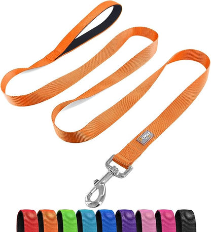 Basic Dog Leashes 6 FT Padded Handle Nylon Dogs Leashes for Small Dogs Orange