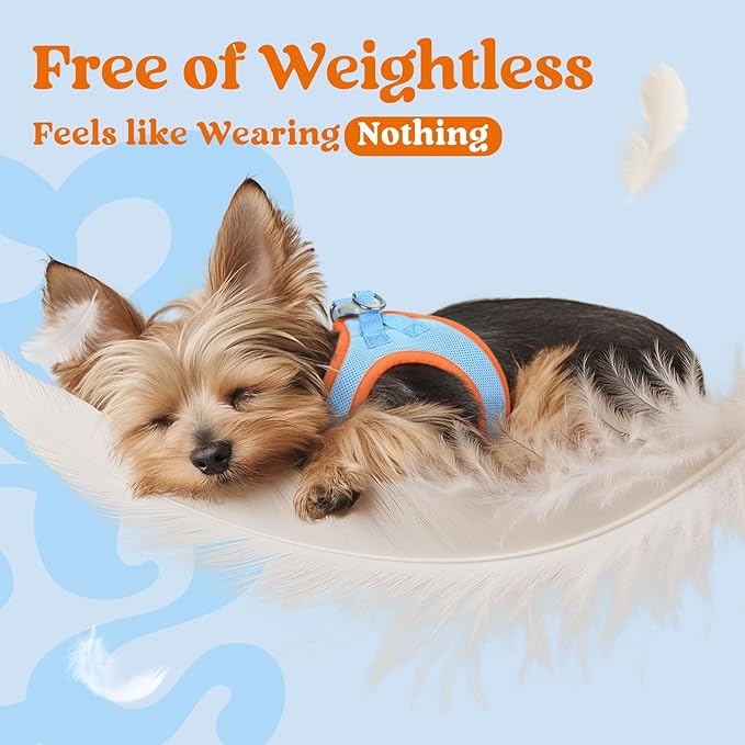 rabbitgoo Small Dog Harness, Step-in Soft Mesh Puppy Vest with Safety Buckle, Breathable Reflective Pet Harness for Small Sized Dogs, Blue & Orange S