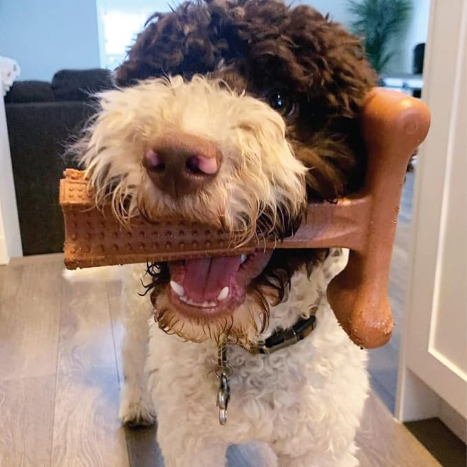 SPOT by Ethical Products 4 in Bambone Plus Easy Grip Peanut Butter, Beef & Chicken Dog Chew Bundle - Bamboo & Nylon Anti Anxiety Bone for Aggressive Chewers & Dental Health for Dogs - Large (3 Pack)